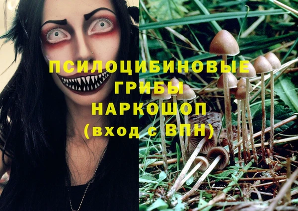 наркотики Алексин
