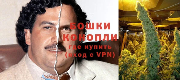 spice Алзамай