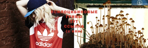 эйфоретик Алексеевка