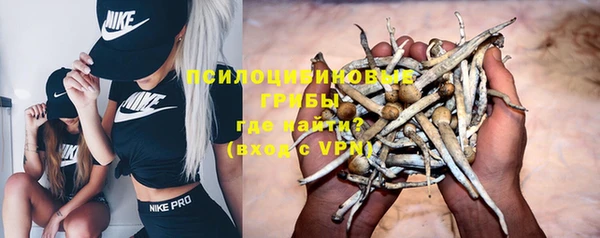 spice Алзамай