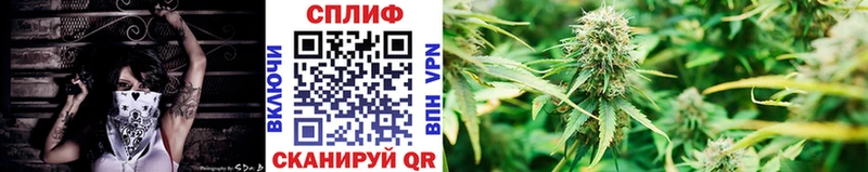 MEGA рабочий сайт цены наркотик Рыбное Бошки марихуана план